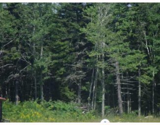 0 Main St Unit 945879, Cranberry Isles, ME 04646