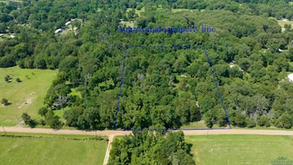 371 Vz County Road 4512, Ben Wheeler, TX 75754