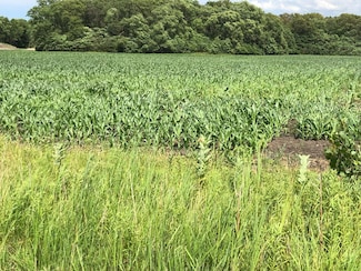 0 St Road 55, Demotte, IN 46310