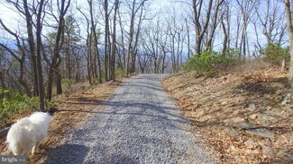 Lot 335 Nathaniel Mountain Rd, Moorefield, WV 26836