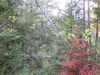 7124 Michigan 65, Lachine, MI 49753