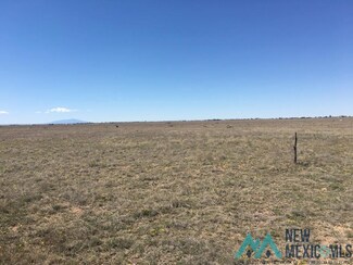 0302 Dry Gulch Rd, Dexter, NM 88230
