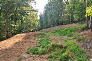 1137 Steamboat Rd, Gilbertsville, KY 42044