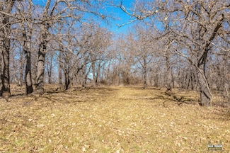 0 Watkins Rd, Bellevue, TX 76228