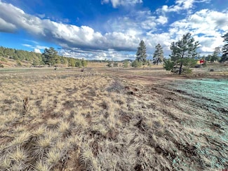 37 Arroyo Ct, Pagosa Springs, CO 81147