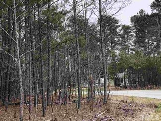 316 Teel Dr, Durham, NC 27704