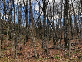 Outlot 3 Skye Dr, Upson, WI 54565