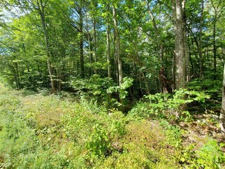 Lot 7 New Hampshire 140, Gilmanton Iw, NH 03837