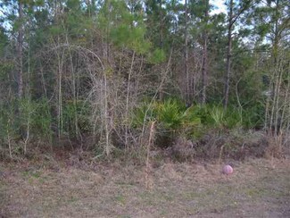 0 Old Palmetto Path Unit 235607, Saint Marks, FL 32355