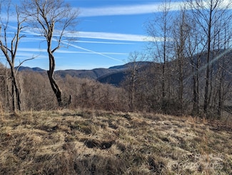 117 Ironwood Ln Unit C-20, Black Mountain, NC 28711