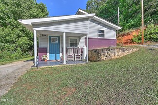 153 Burnt Cabin Branch Dr, Gate City, VA 24251