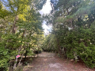 0 French Santee Rd Unit 24022267, Jamestown, SC 29453