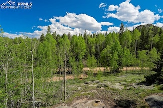 627 Eagle Rock Rd, Florissant, CO 80816