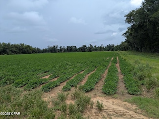 0 Florida 71, Malone, FL 32445