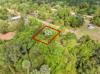 525 Gardenia Ave, Georgetown Cove, FL 32139