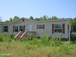 142 Haystack Branch Ln, Beulaville, NC 28518