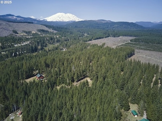 2 Loowit Ln, Cougar, WA 98616