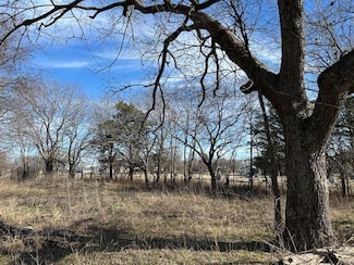 508 E Maple St, Whitewright, TX 75491