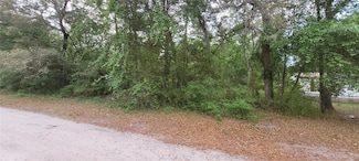0 NE 153rd St, Fort Mc Coy, FL 32134