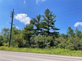 V/L C- Mayfield Rd, Chardon, OH 44024