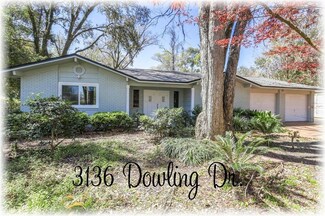 3136 Dowling Dr, Tallahassee, FL 32309