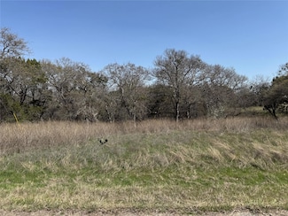10053 Bluffview Ct, Whitney, TX 76692