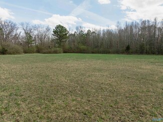 Land on Bobo Section Rd, Hazel Green, AL 35750