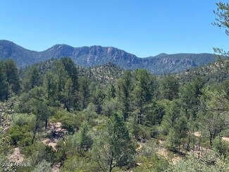 1003 S Dells Point Unit 161, Payson, AZ 85541