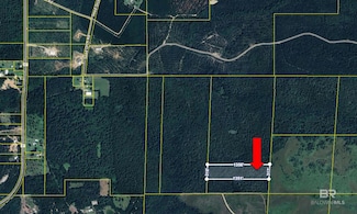 0 Seed Orchard Rd, Robertsdale, AL 36567