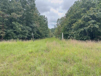 TBD Turkey Springs Ranch Ln, Highland, AR 72543