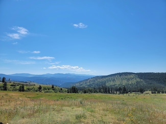 0 Big Goosmus Rd Unit 15833461, Curlew, WA 99118
