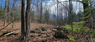 0 Borough Rd Unit 1553941, Dover-Foxcroft, ME 04426