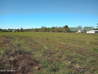 Tbd Doyle Melancon Rd, Breaux Bridge, LA 70517