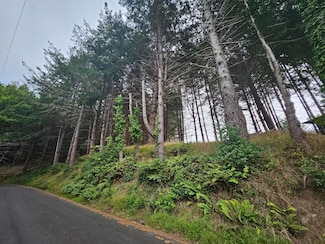 745 Spring Rd, Whitethorn, CA 95589