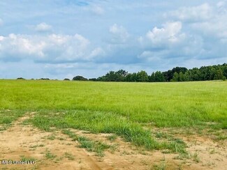0 Old Hwy 16 Lot R11 Unit 4023127, Benton, MS 39039