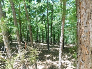 0 Buck Run Rd Unit 24-484, Grove, OK 74344