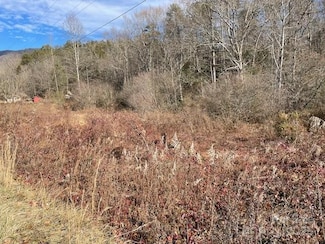 Off MacKey Creek Rd, Old Fort, NC 28762