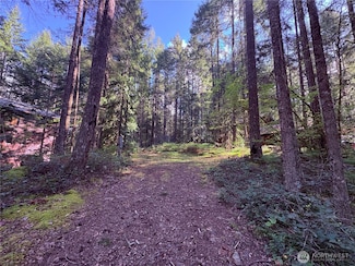 30 N Skokomish Dr, Hoodsport, WA 98548