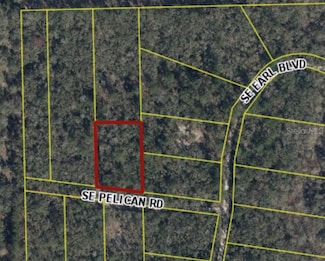 164 SE Pelican Rd, Branford, FL 32008