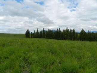 NNA Hwy 9 Lot 7, Princeton, ID 83857