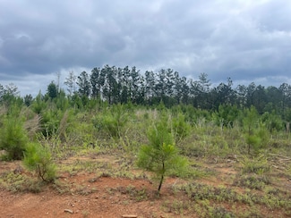 0 Providence Church Rd, Ethelsville, AL 35461