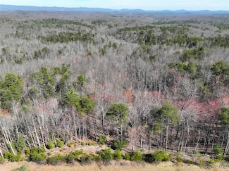 41.18 Acres (Off Of) Pole Bridge Rd, Stuart, VA 24171
