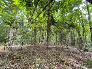 1048 Quattlebaum Rd, Leesville, SC 29070