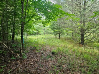 9907 State Route 3, Piercefield, NY 12973