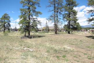 26 Papoose Ct, Pagosa Springs, CO 81147