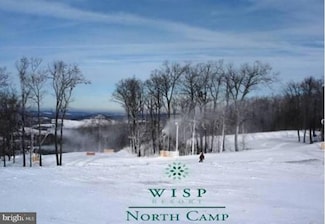 27 Tree Camp Cir, McHenry, MD 21541