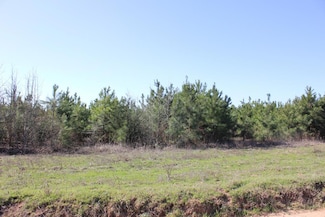 PID 7331 Phillips Rd, Garrison, TX 75946