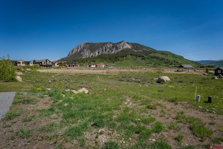 94 White Stallion Cir, Crested Butte, CO 81224