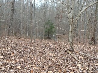 0 Hwy 50 Loop W Unit 2121250, Centerville, TN 37033