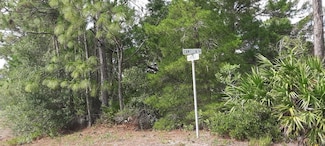 714 Camellia Dr, Lake Wales, FL 33855